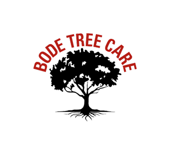 Emerald Property Management on Bode Tree Care